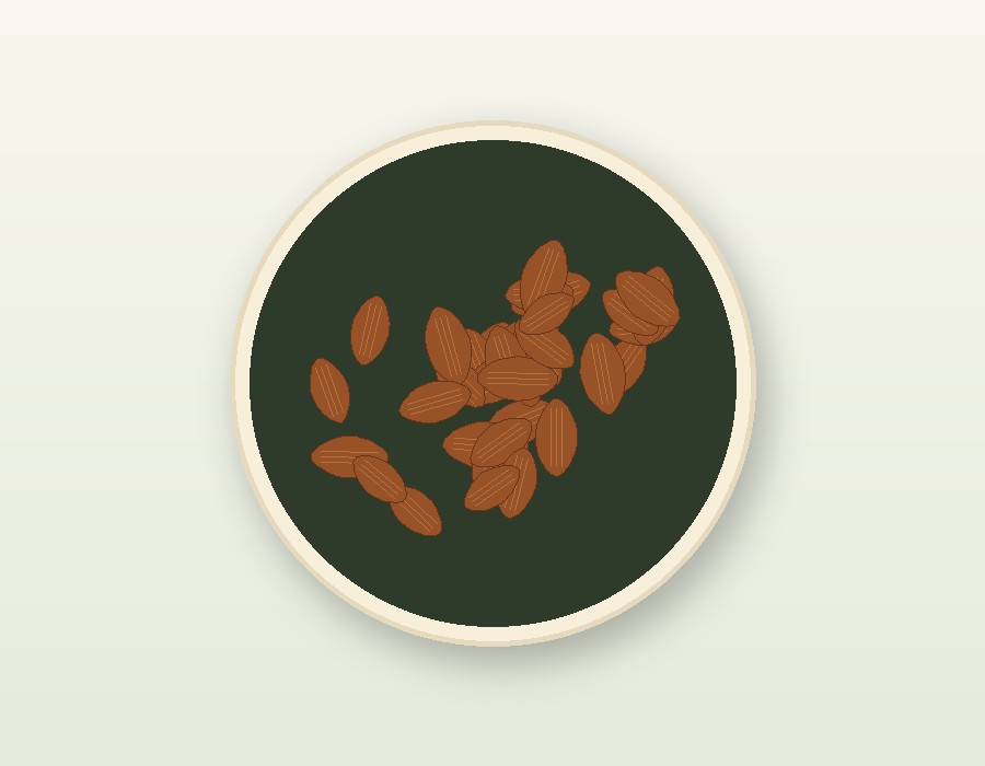 Almond cashew pistachio walnut guide